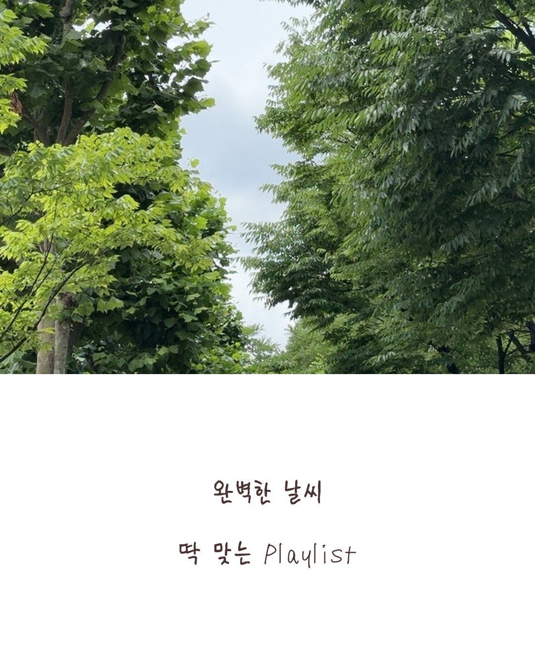 A handwritten postcard over summer green trees: 완벽한 날씨 딱 맞는 Playlist
